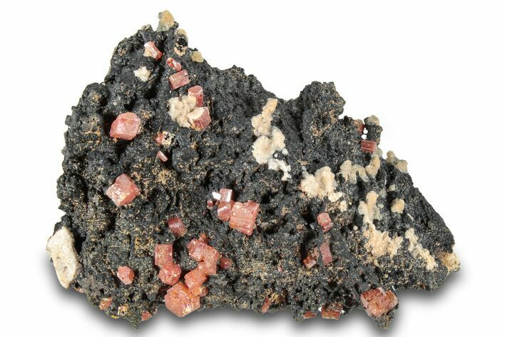 Small Red Vanadinite Crystals on Goethite - Morocco #292900